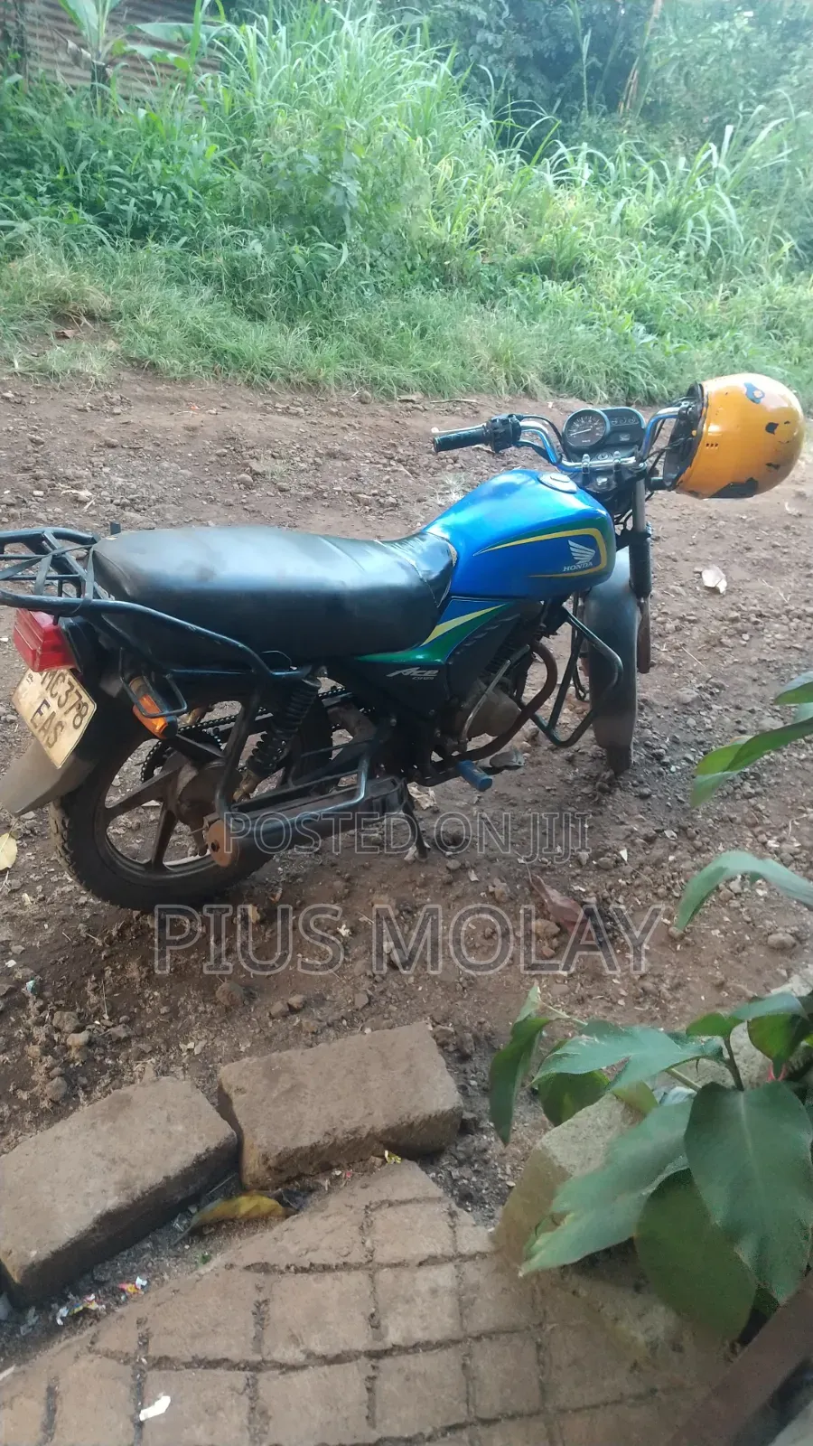 Honda 2024 Blue