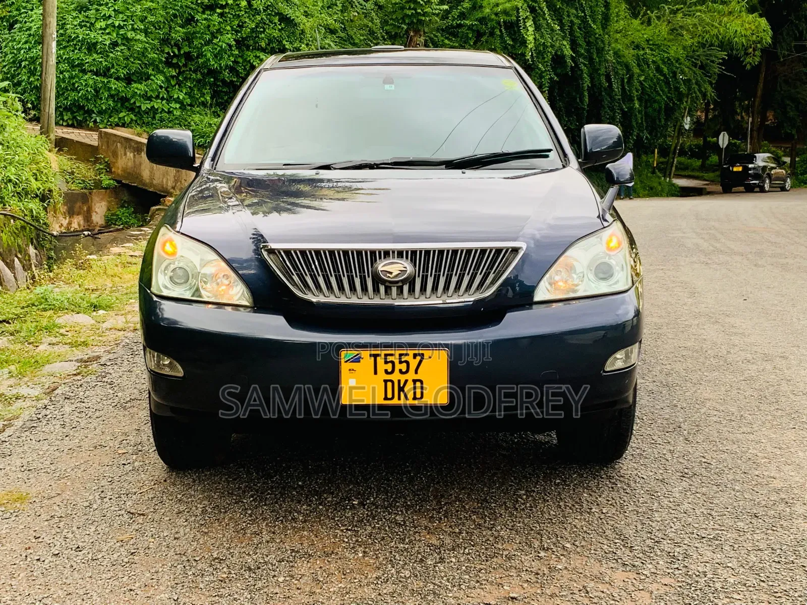 Toyota Harrier 2003 Gray