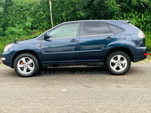 Toyota Harrier 2003 Gray