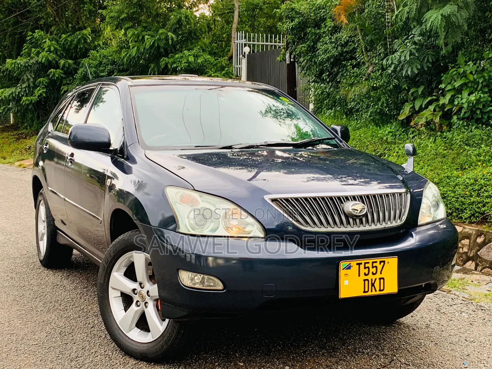 Toyota Harrier 2003 Gray