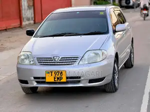 Toyota Allex 2002 Silver