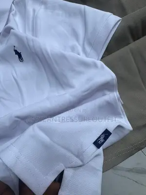 Polo Ralpg Lauren Tshirt Collection Available