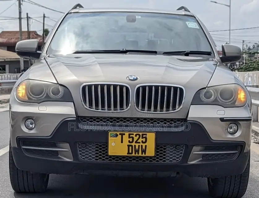 BMW X5 2008 Gray