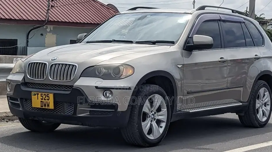 BMW X5 2008 Gray