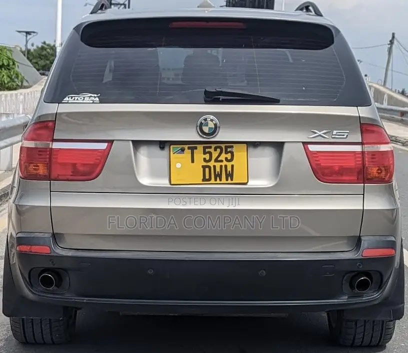 BMW X5 2008 Gray