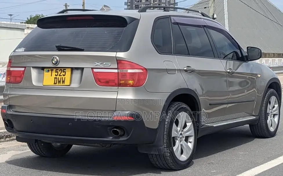 BMW X5 2008 Gray