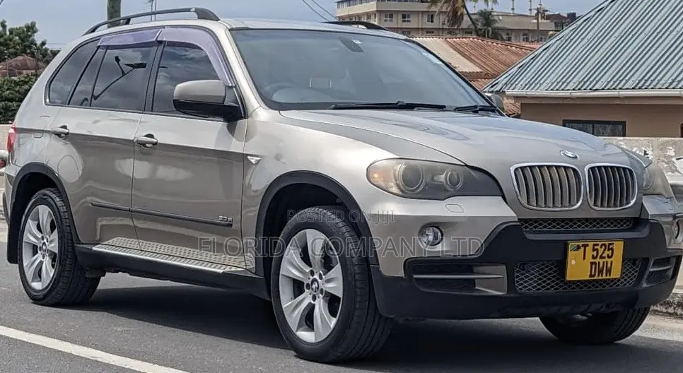 BMW X5 2008 Gray