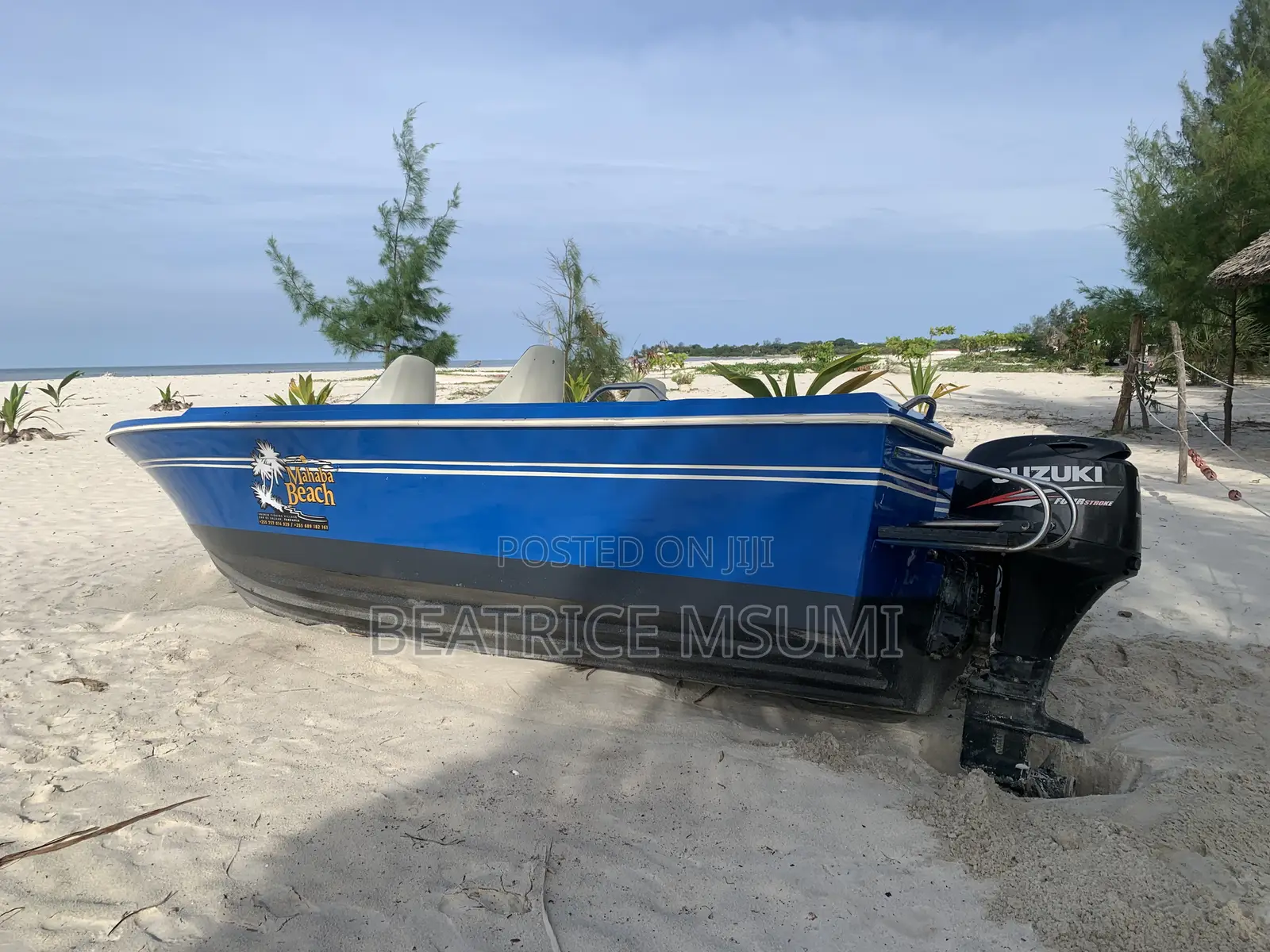 Cruising Boat