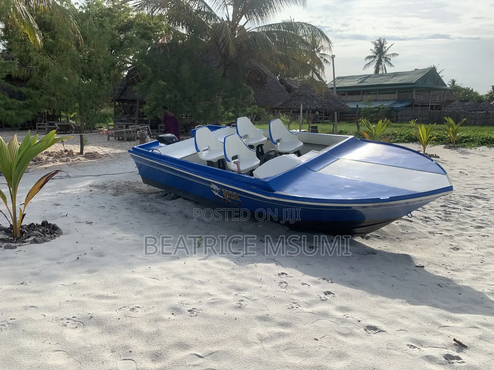Cruising Boat