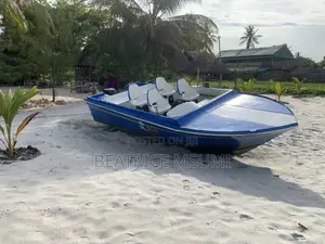 Cruising Boat