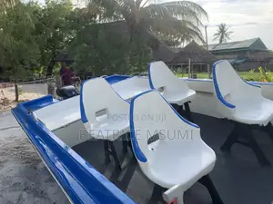 Cruising Boat
