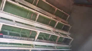 Matercage (Watengenezaji Wa Cage Za Kufugia Kuku)