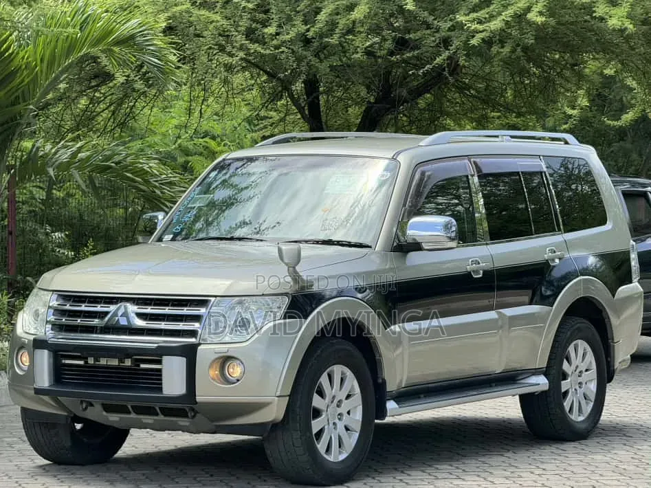 Mitsubishi Pajero 2009 Gray
