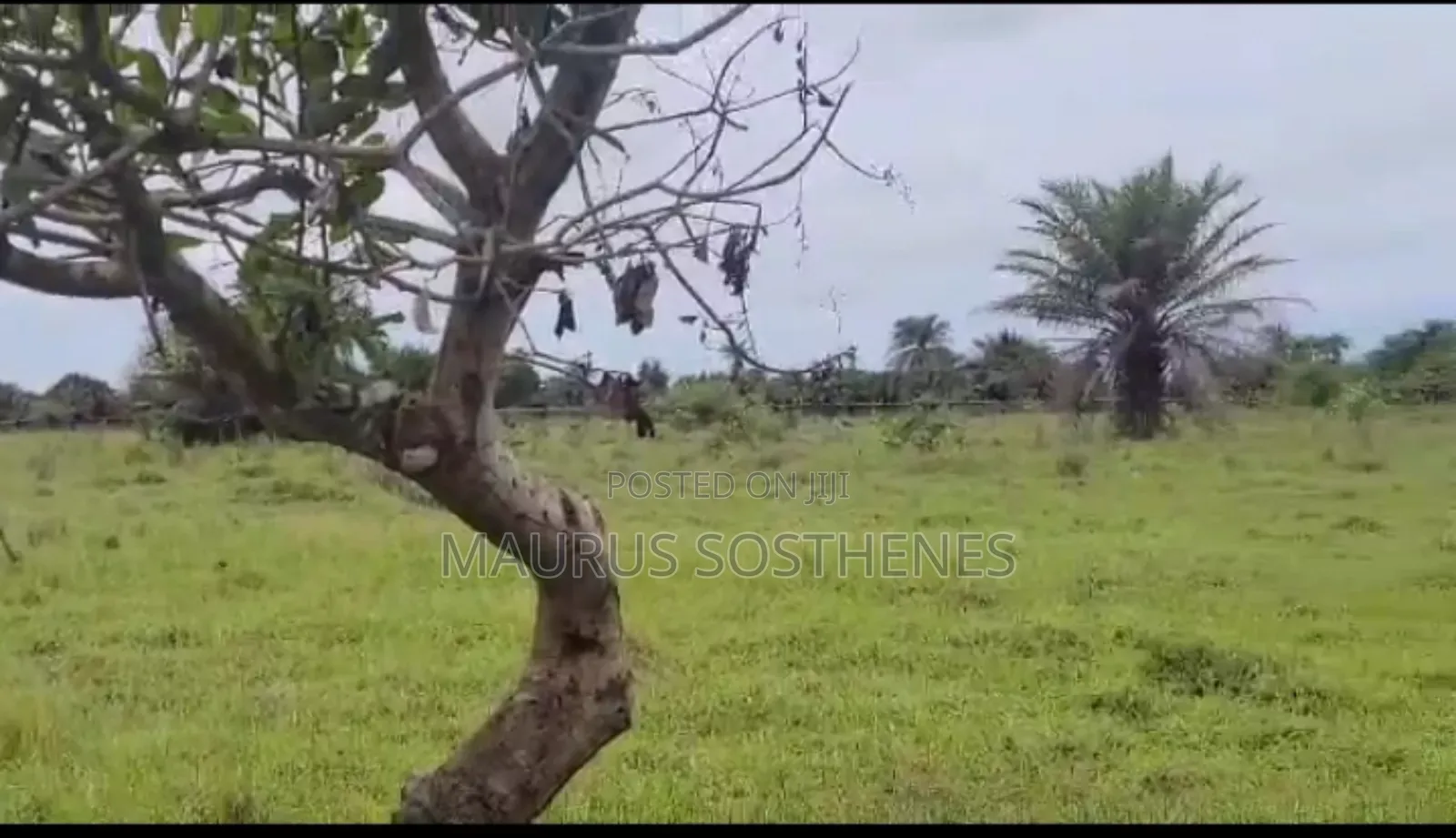 Industrial Plot for Sale TSH 1.2 Billions at Kigamboni, Dar Es Salaam