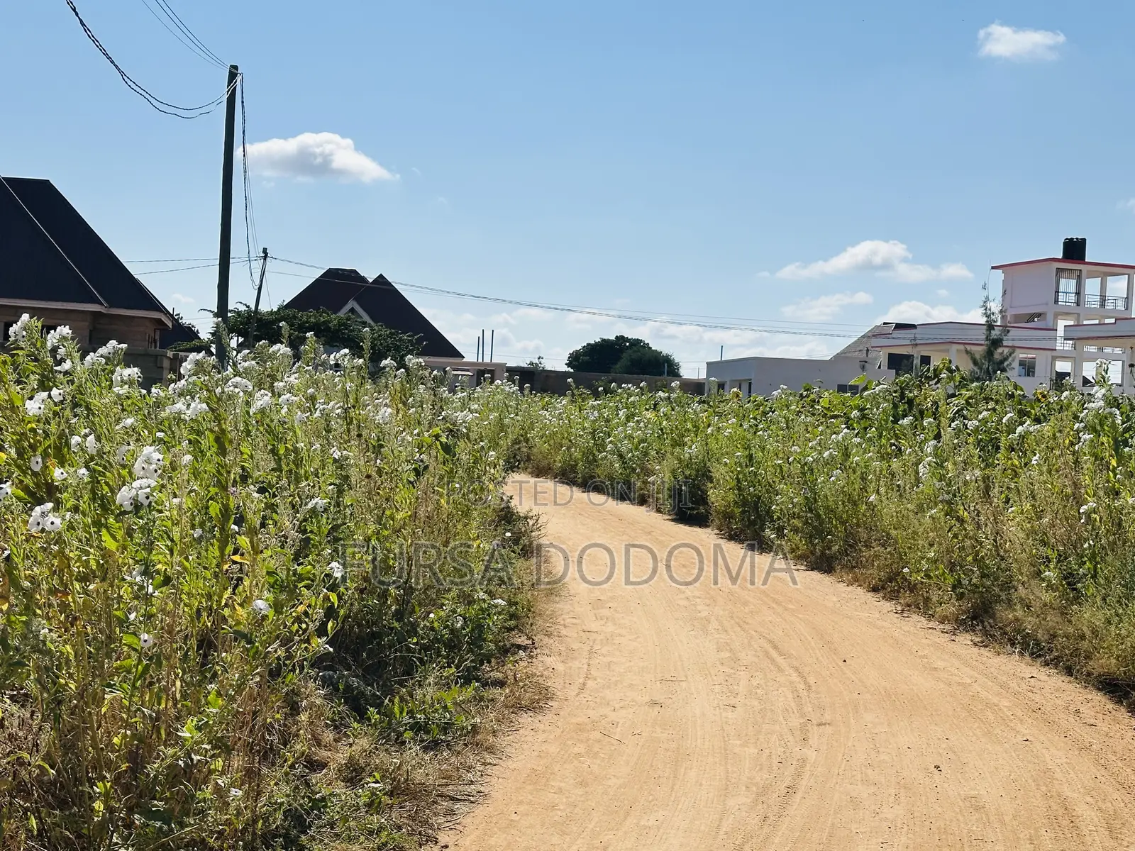 Kiwanja Kizuri Sana Kinauzwa Dodoma Mjini Nzuguni