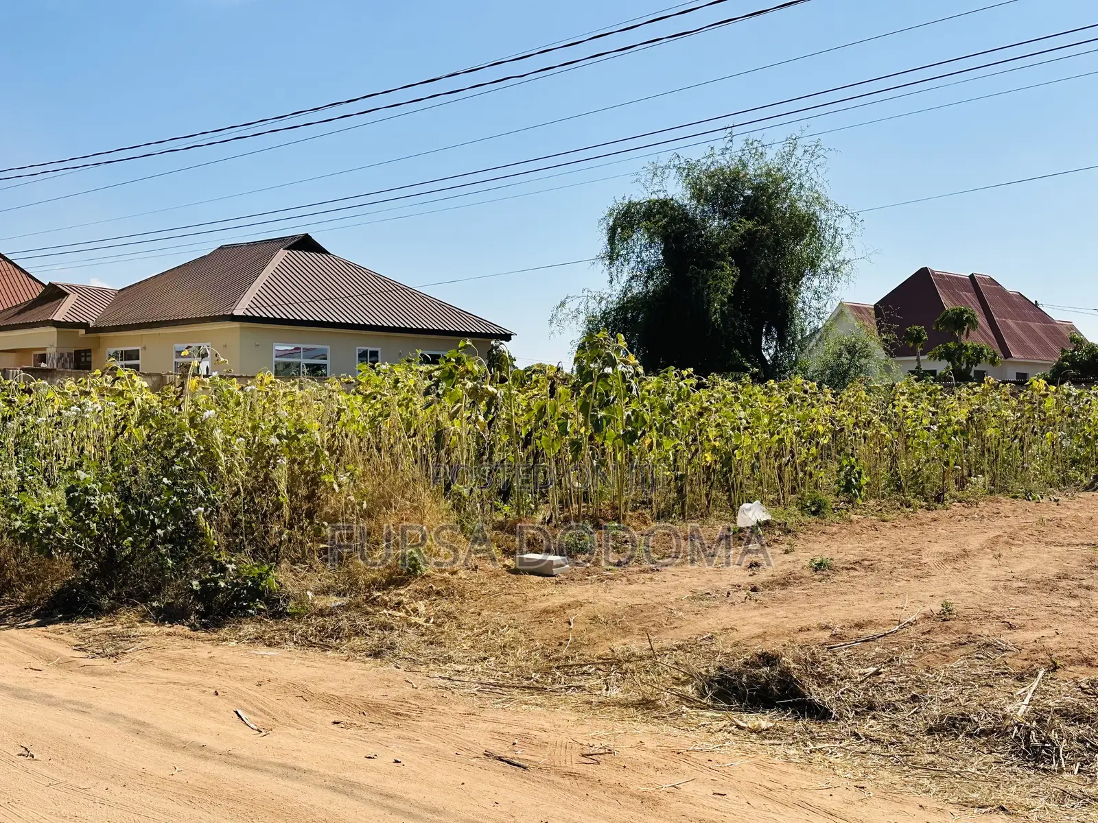 Kiwanja Kizuri Sana Kinauzwa Dodoma Mjini Nzuguni