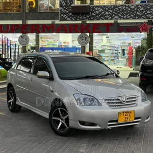 Toyota Allex 2005 Silver