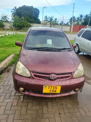 Toyota Platz 2002 Brown
