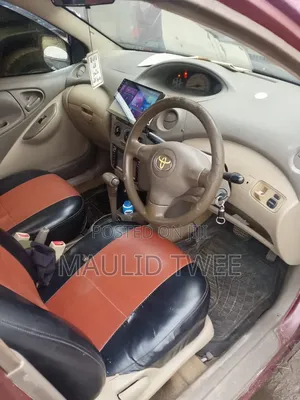 Toyota Platz 2002 Brown