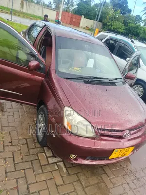 Toyota Platz 2002 Brown