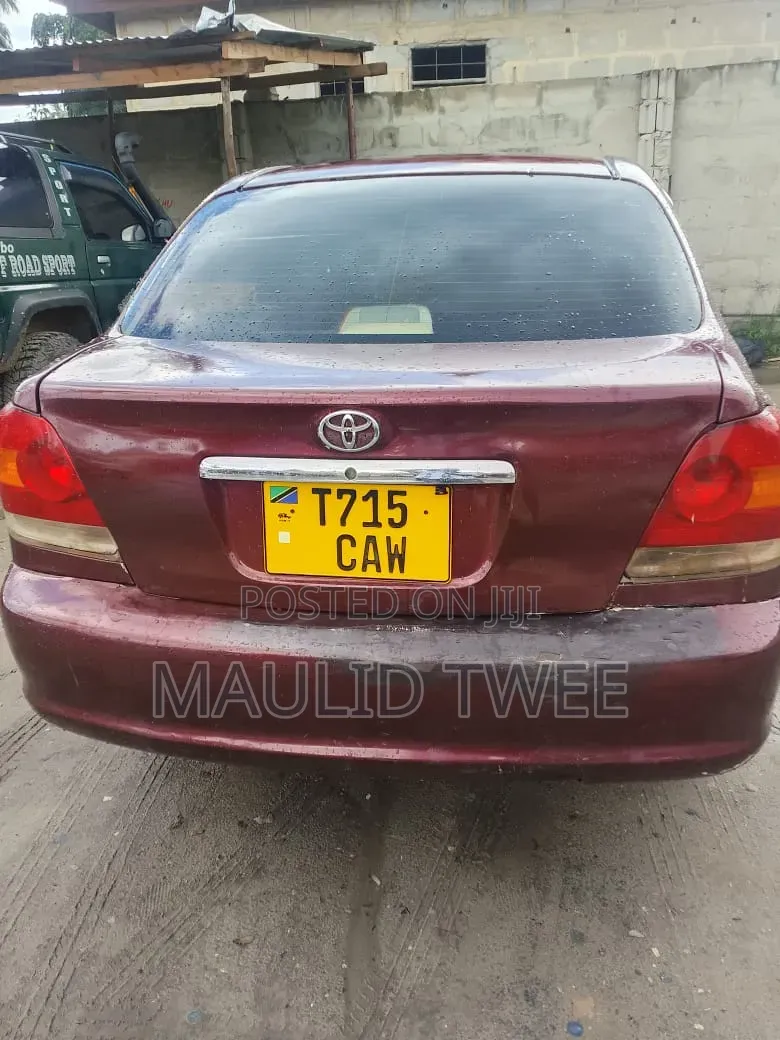 Toyota Platz 2002 Brown