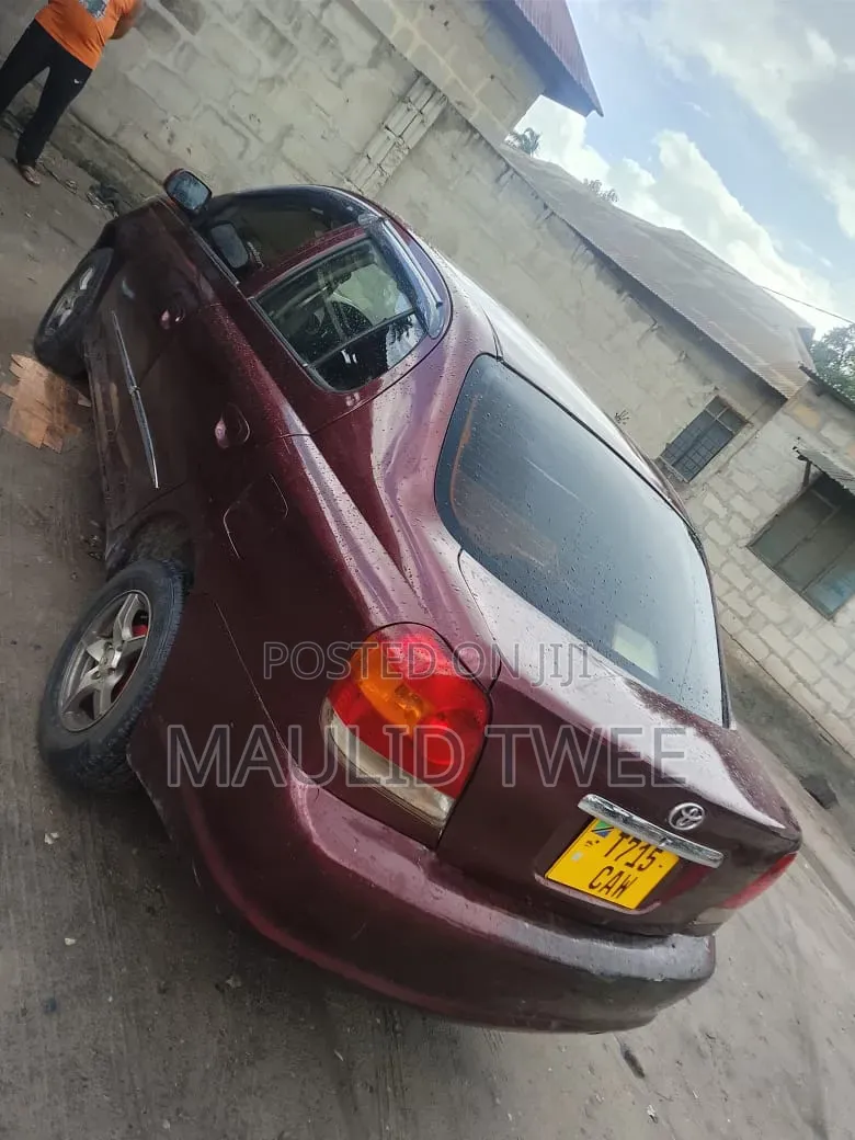 Toyota Platz 2002 Brown