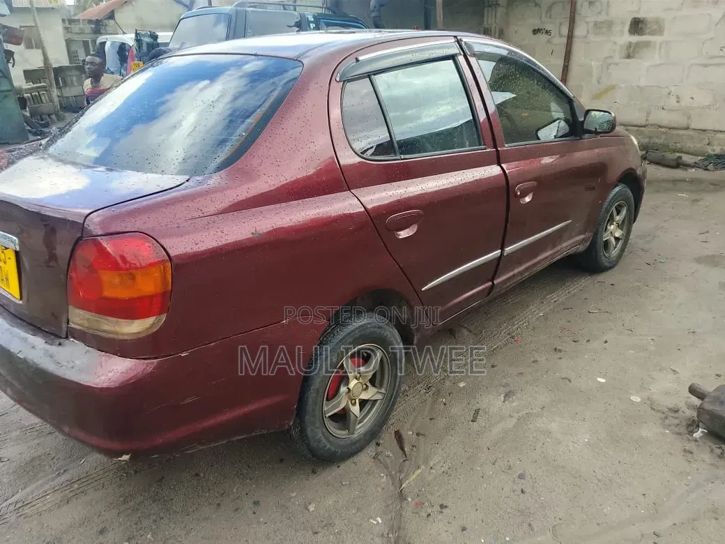 Toyota Platz 2002 Brown