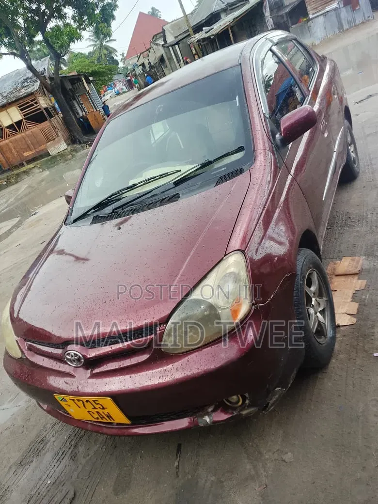 Toyota Platz 2002 Brown