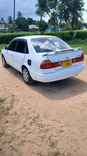 Toyota Corolla 1999 White