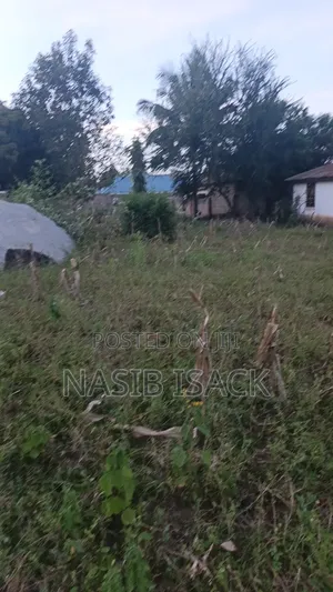 Plot for Sale Busweru