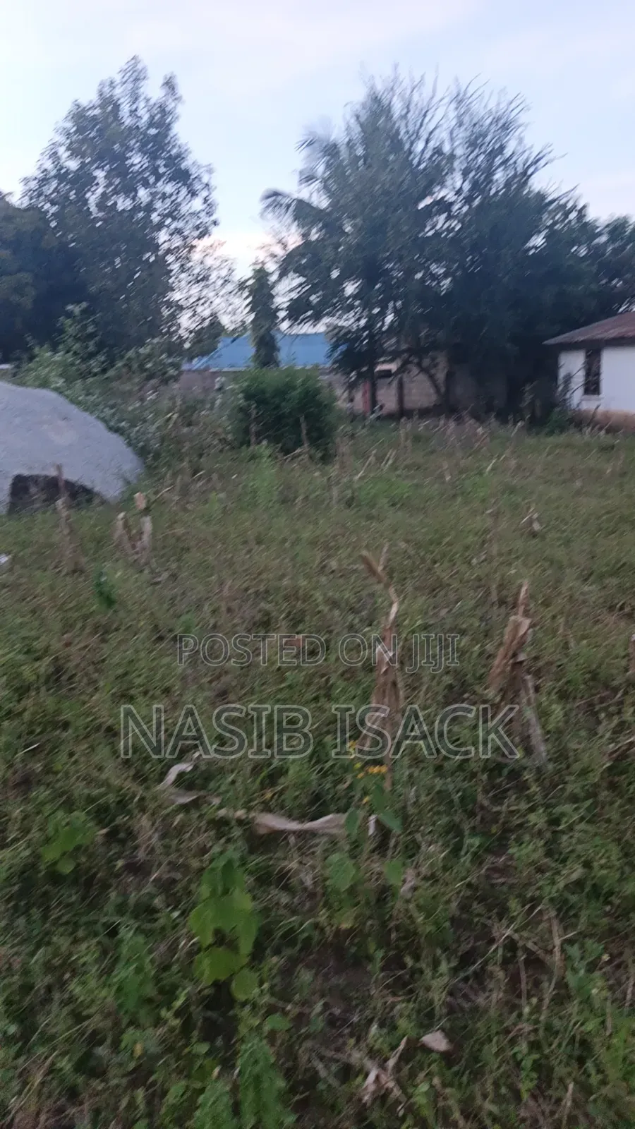 Plot for Sale Busweru