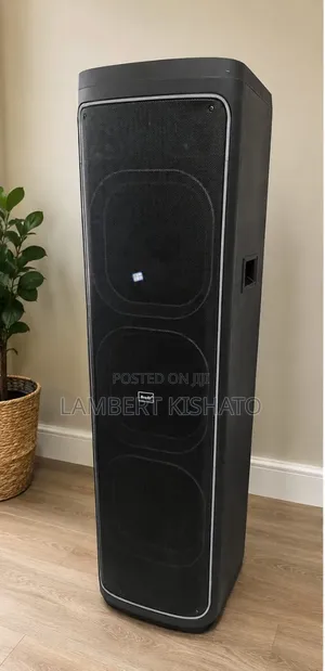 Speaker Kubwa La Kisasa Lenye Sound Kali