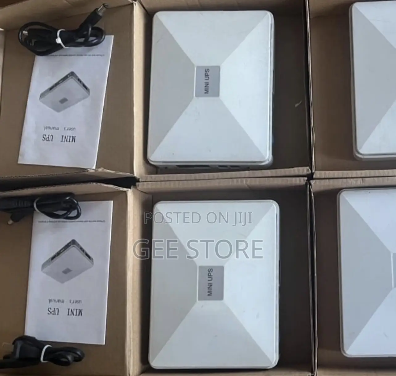 Mini Ups Back Up System