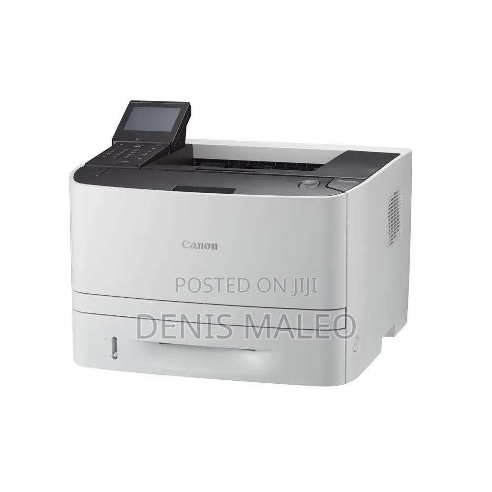 Canon Lbp253x Printer