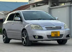 Toyota Allex 2006 Silver