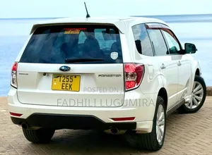 Toyota Harrier 2010 White