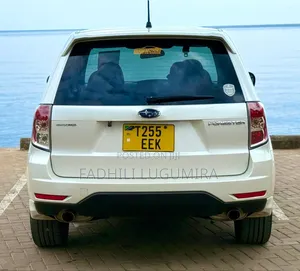 Toyota Harrier 2010 White