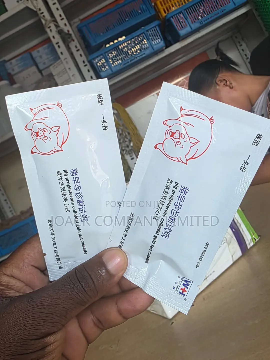 Pig Pregnancy Test/ Vipimo Vya Mimba Kwa Nguruwe