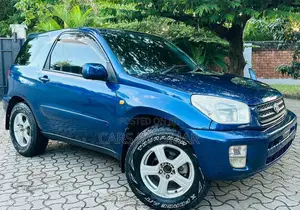 Toyota RAV4 Automatic 2003 Blue
