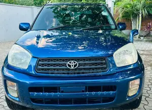 Toyota RAV4 Automatic 2003 Blue