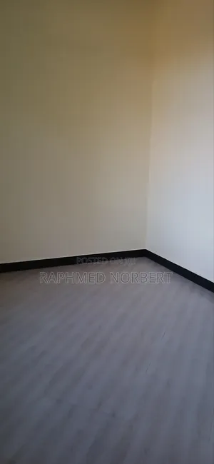 2bdrm House in Tanzania Real, Central Business Area for rent