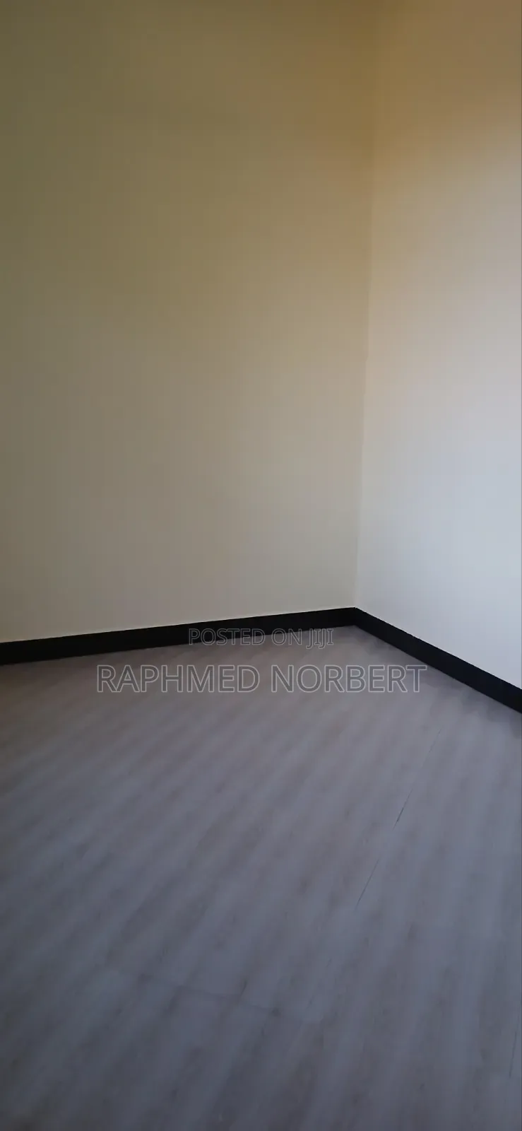 2bdrm House in Tanzania Real, Central Business Area for rent