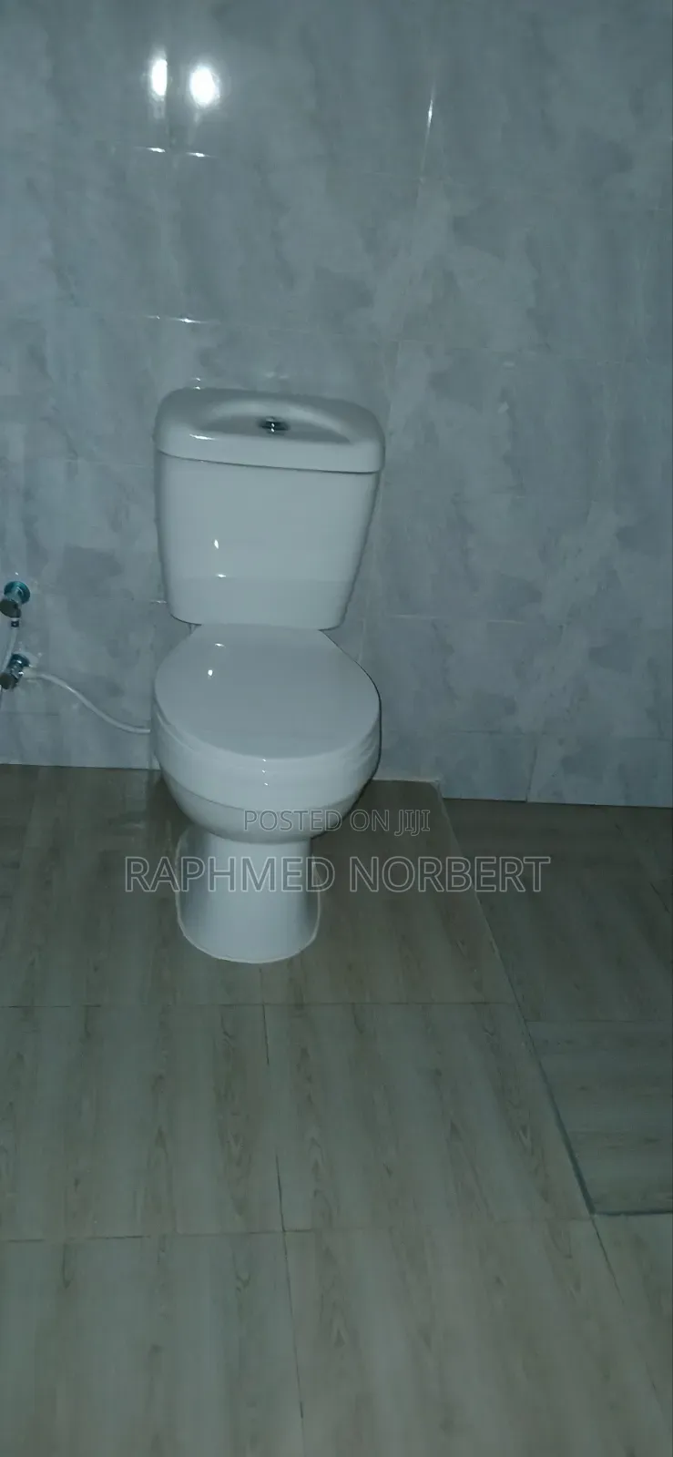 2bdrm House in Tanzania Real, Central Business Area for rent