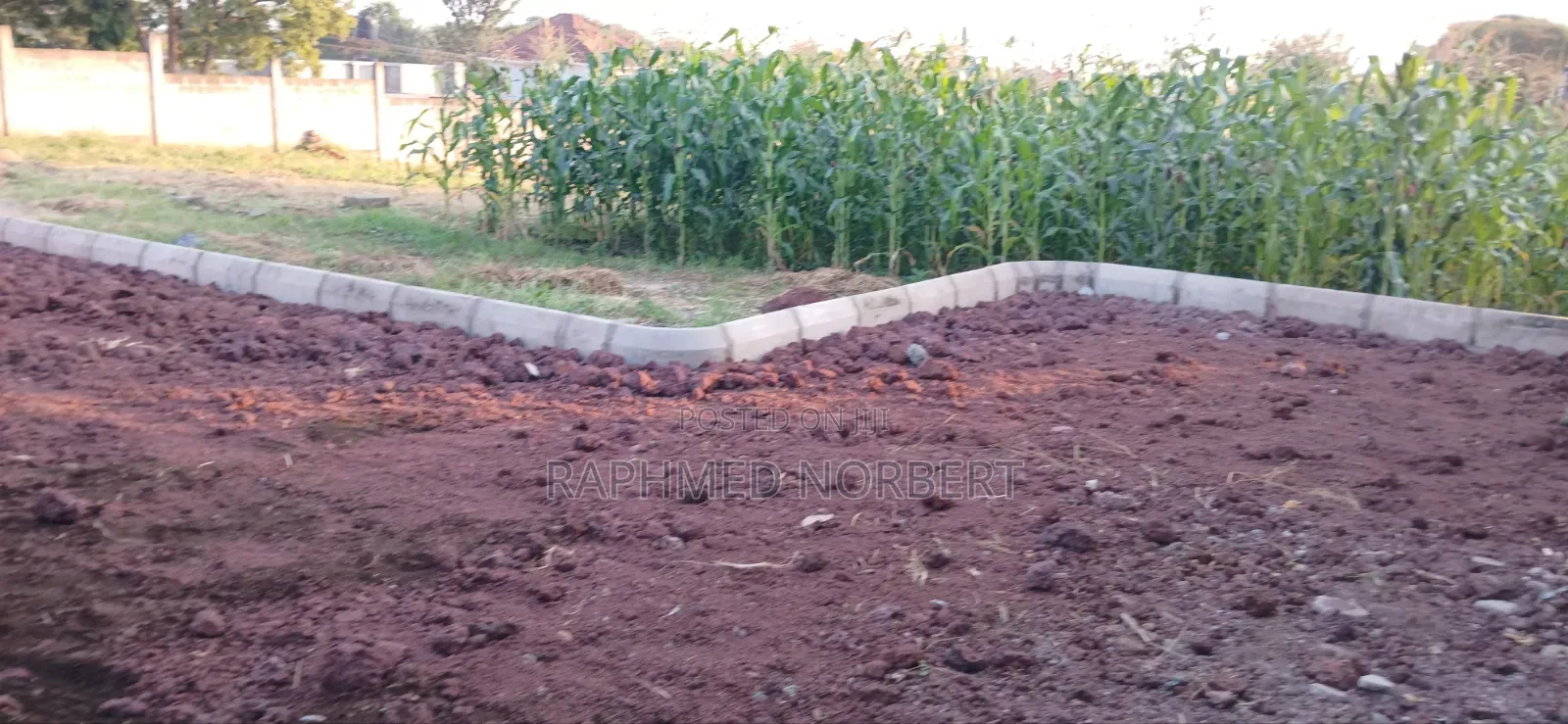 2bdrm House in Tanzania Real, Central Business Area for rent