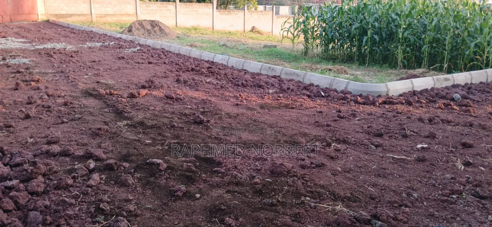 2bdrm House in Tanzania Real, Central Business Area for rent