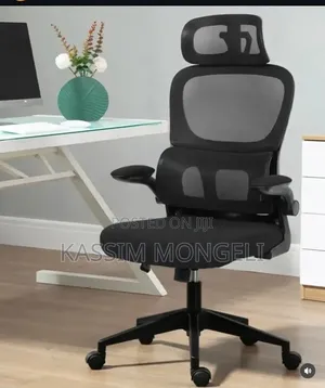 Ergonomic Chairs