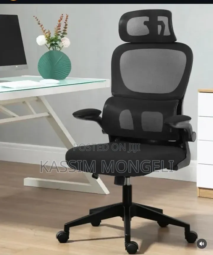 Ergonomic Chairs