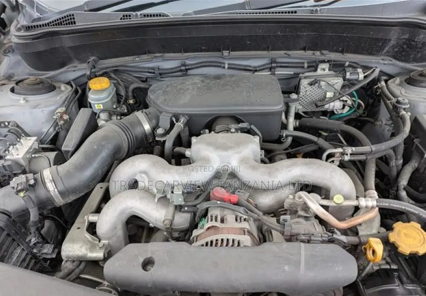 Subaru Forester 2009 Silver