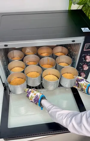 Electric Oven