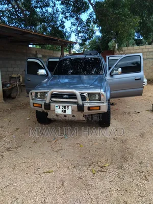 Toyota Hilux 2002 Gray
